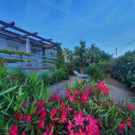 סנרמו Residence Eucalyptus Suite 2 Casa Indipendente מראה חיצוני תמונה